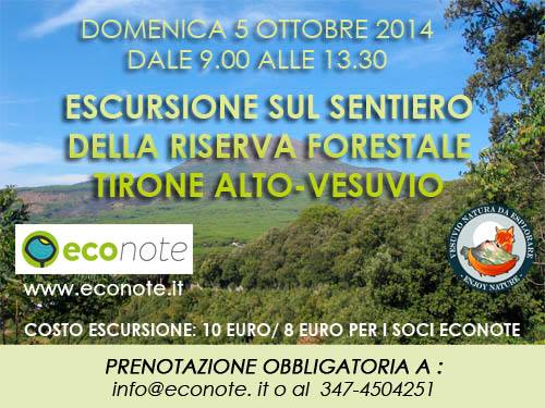 EconoteVesuvio