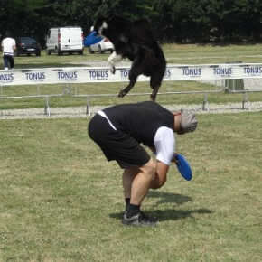 Tonus Disc Dog 6