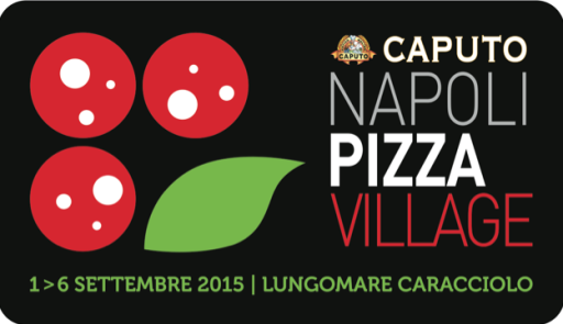 logo npv