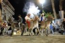 Birra, palio e buon cibo - Ritorna “Asini a tutta Birra" 1