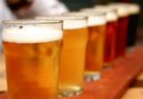 Birra, palio e buon cibo - Ritorna “Asini a tutta Birra" 3