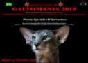 Gattomania 2018 - la bellezza dei gatti in mostra 2