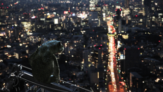Dreaming Murakami ad AstraDoc