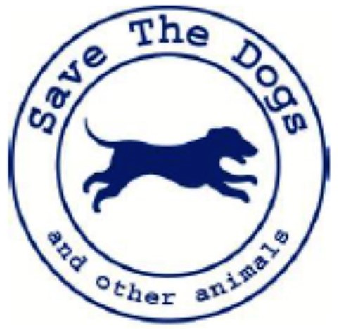 AL VIA IL PROGETTO DI SAVE THE DOGS IN ITALIA