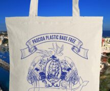 Oceanus per Procida Capitale della Cultura 2022: l'onlus che promuove il plastic free partner del comitato promotore