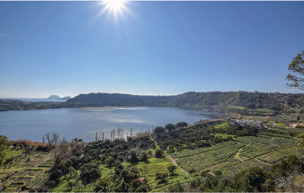 Tora Farm, l’olio extravergine dalla Baia Domizia 1