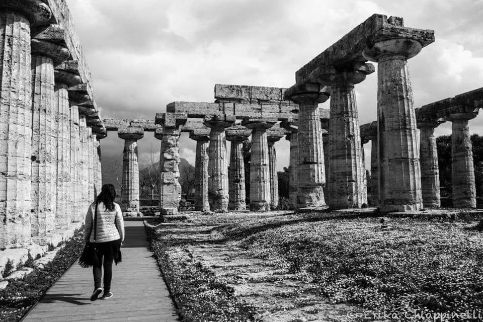 Paestum - visita guidata dei templi greci e del museo