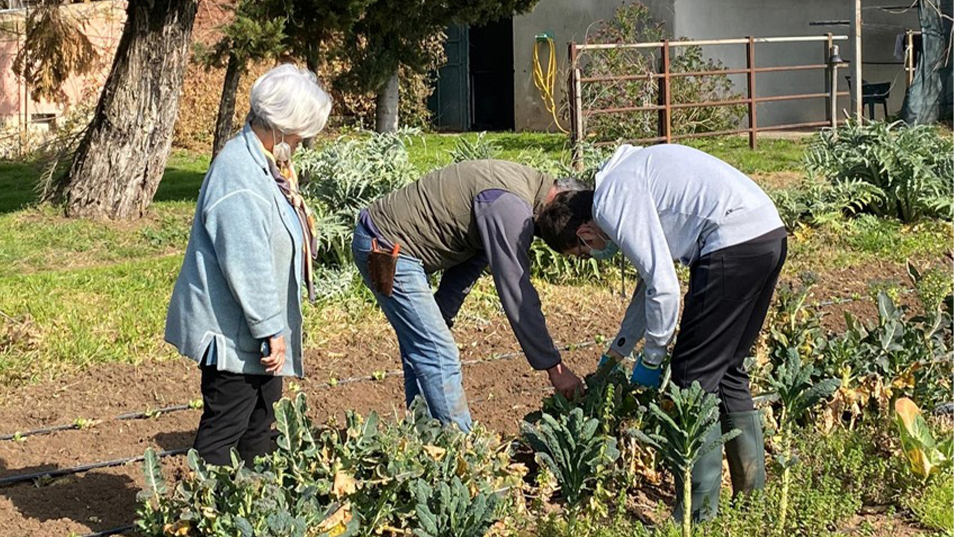 Welfare, convegno a Succivo per presentare i risultati del progetto AgriSocialLab