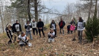 WWF e Faito Doc Festival per ripulire il monte e salvaguardare i pini neri secolari